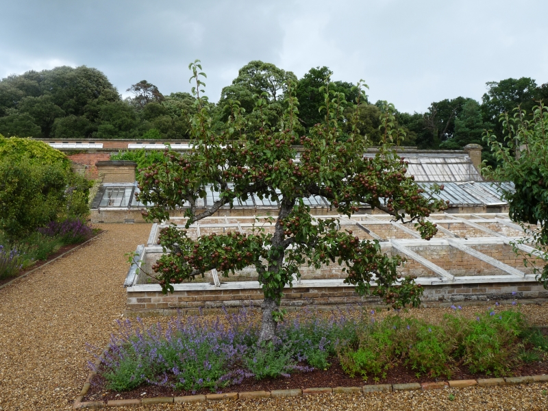 Holkham Walled Garden